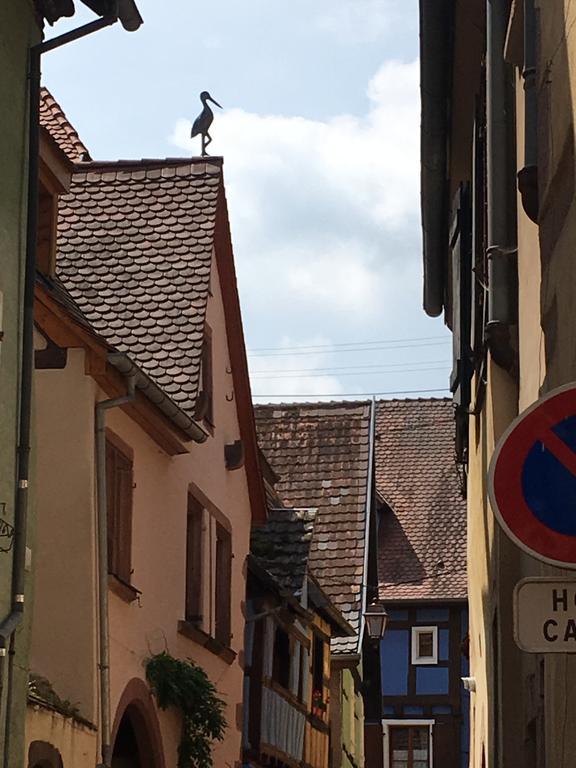 Apartamento Le P'Retzel & Le Sticksy Riquewihr Exterior foto